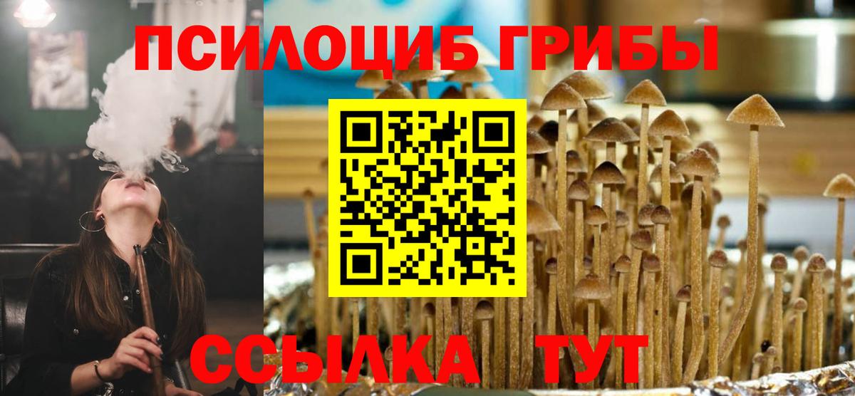 Псилоцибиновые грибы мицелий Бирск